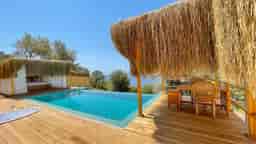 Kamıştan Neler Yapılır?