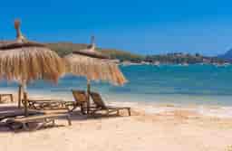 Çin Otu Çatı Kaplama