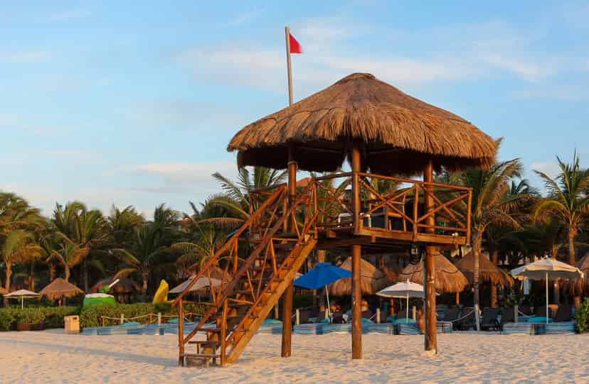 Kirpi Çatı ve Saz dekorasyon Uygulama Galerisi