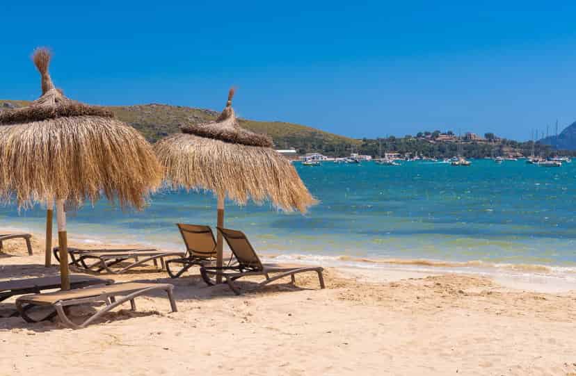 Kirpi Çatı ve Saz dekorasyon Uygulama Galerisi