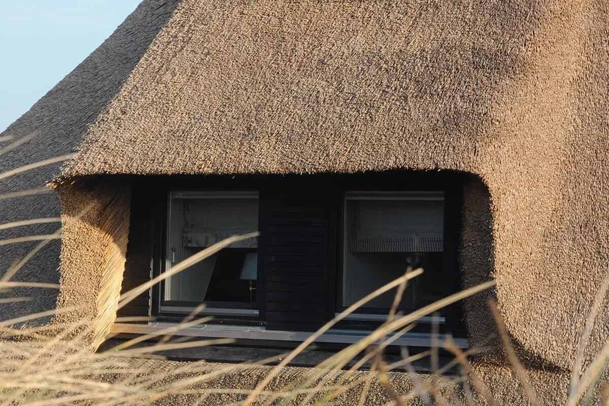 Kamış Çatı Kaplama