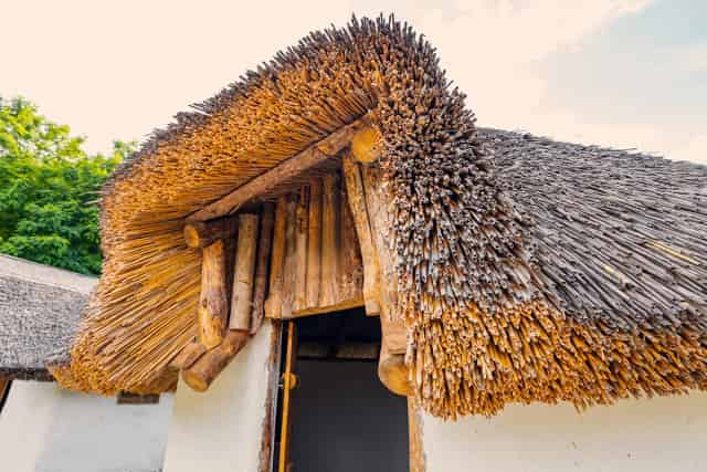 Kamış Çatı Kaplama
