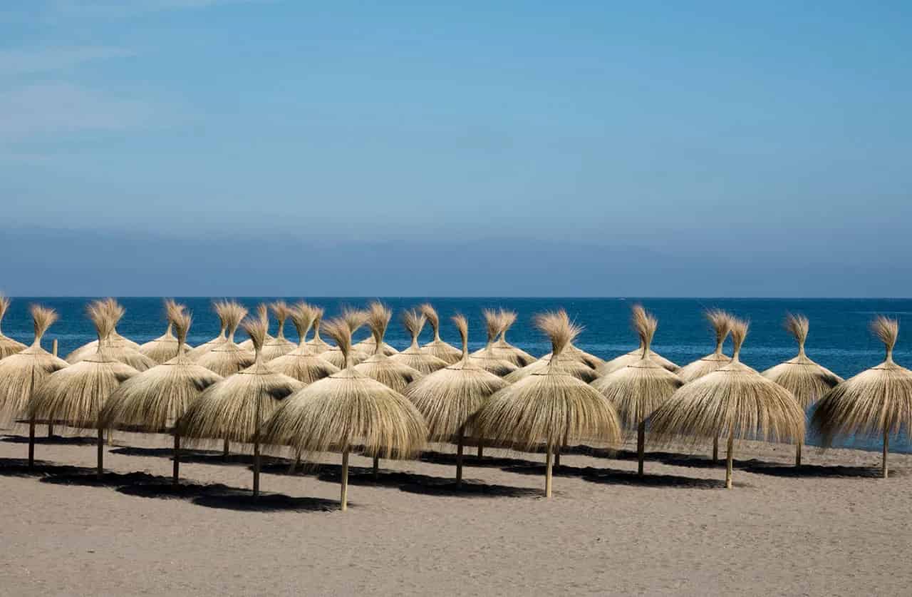 Çin Otu Çatı Kaplama