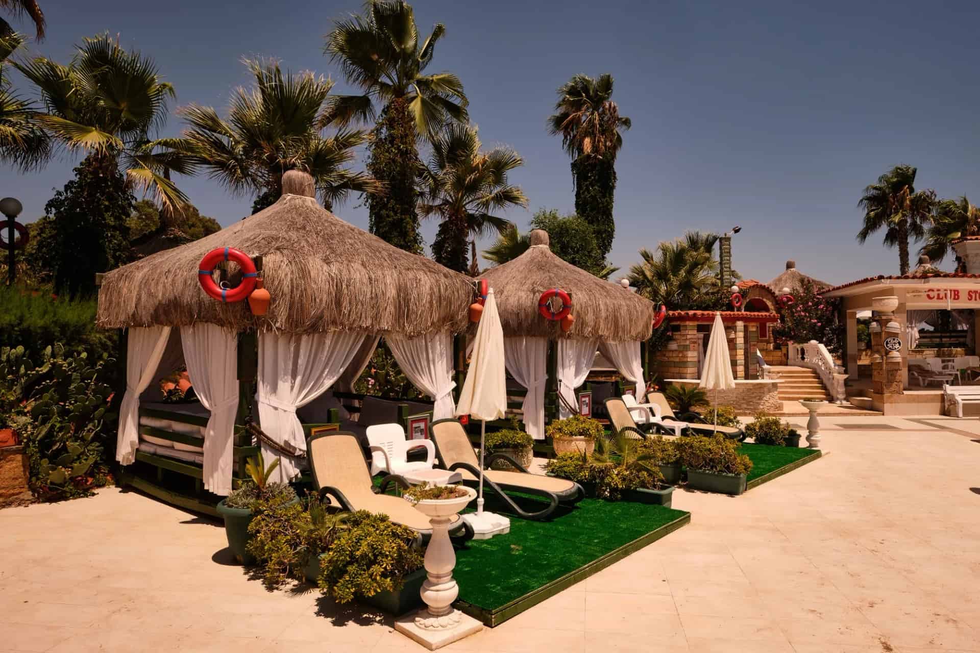 Çin Otu Çatı Kaplama