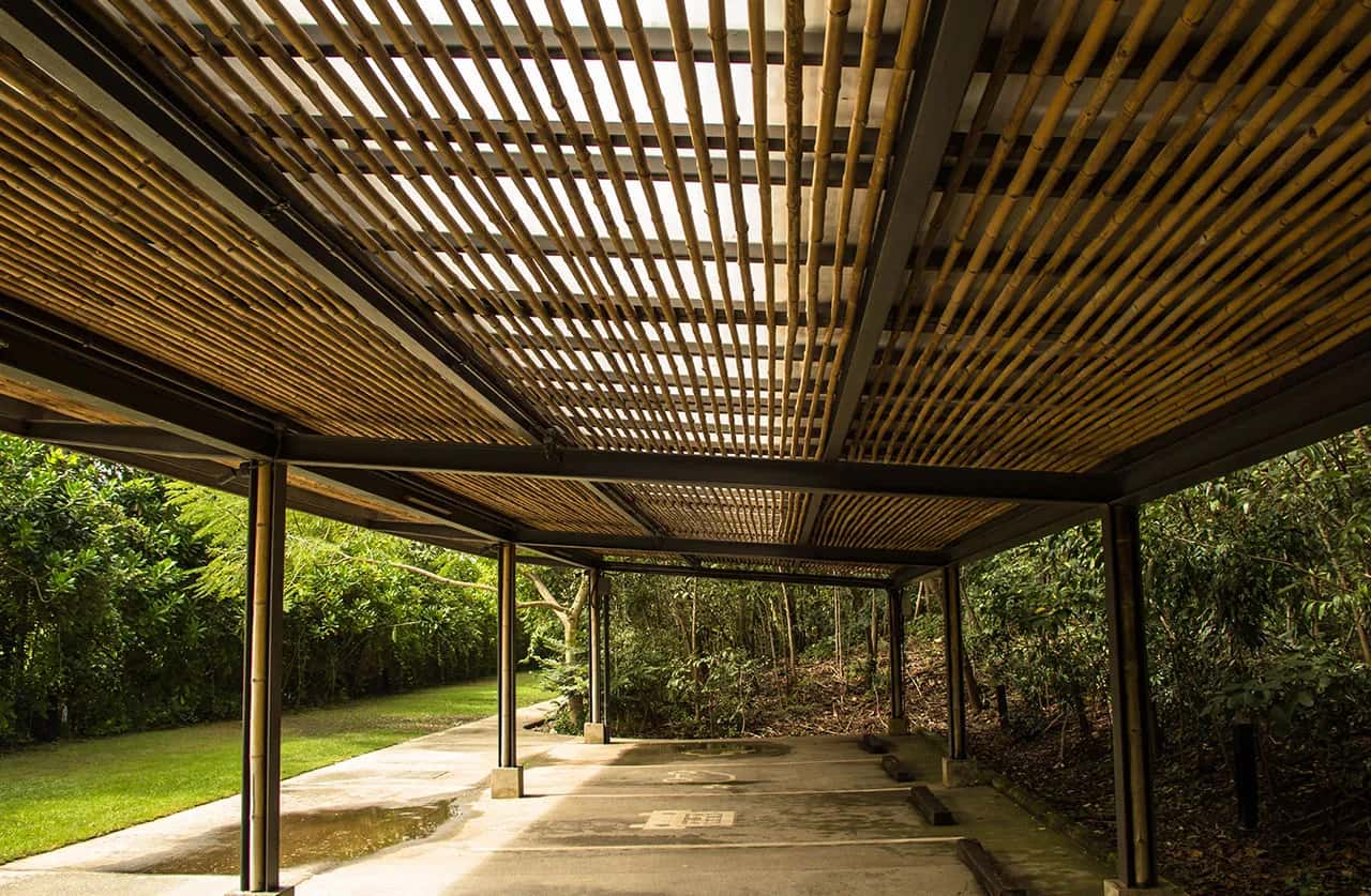 Bambu Çatı Kaplama ve Kargı Çatı